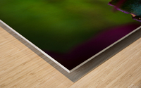 Drop of Green Swath of Pink Wood print