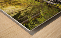 Water Flowing By Moss Covered Rocks In A Stream Wood print
