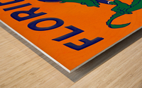 1951 Florida Gator Football Art Wood print