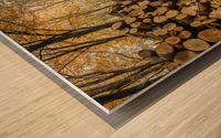 Stack of Logs in Forest Wood print