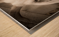 Chevre et desepoire sepia Wood print