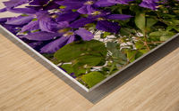 Grappe de clematis Wood print