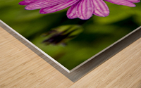 Anemone Wood print