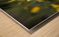 Fleurs Macro Wood print