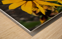 Fleurs tournesol en macro Wood print
