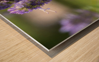 Abeille au travaille Wood print