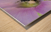 Natures Worker: Macro Image of Pollen-Covered Bee on Hibiscus Wood print