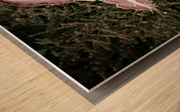 Desaturated Elegance: Lys Photograph Wood print