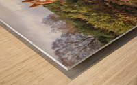 Lone Stag Wood print