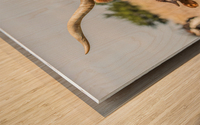 Mommas Boy Wood print