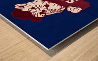 1987 South Carolina State Bulldog Art Wood print
