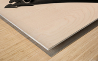 The Clothespin Wood print