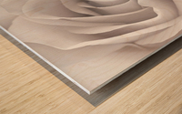 Captivating Rose Wood print