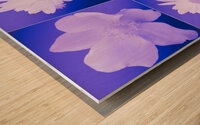  Japanese Anemones with Daises on a Purple Background Wood print