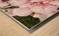 Peony Lovers Dream Wood print