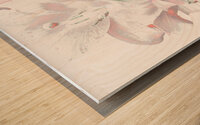 Subtle Poster Lilies Wood print