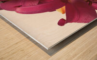 Ruby Lily Flowers Wood print