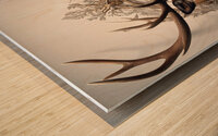 Photorealistic Deer art Wood print