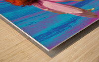 Echinacea Flower Close up on Heatwave Abstract Wood print