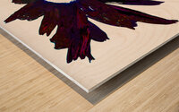 Dark Burgundy  Distressed  Daisy Flower on a White Background Wood print