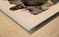 Wood Duck Hidden Among Us Wood print