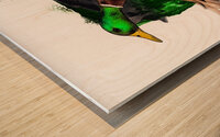 Greenhead in Flight Wood print