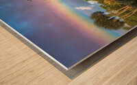 Naples Botanical Gardens Rainbow Sky Wood print