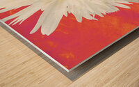 Double White Daisy Flower on a Vibrant Heatwave Abstract Background Wood print
