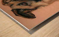 Axel Wood print
