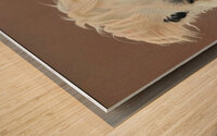 Honey Wood print