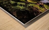 B29D37B0 17E0 445A 8158 F424EA434590 Wood print