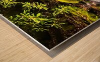 E877E1C9 1142 4946 9696 C7A43DF3C08E Wood print