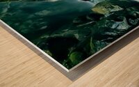 0A8A4BB1 553D 4BEE A800 FE5E0954B0C3 Wood print