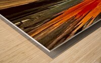 C814F544 B4A7 496E B429 EDAB9D528F56 Wood print