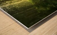 1338AB80 CB1B 4A1E 9115 CBA584CE0081 Wood print