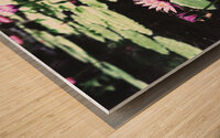 OmegaLilly  Wood print