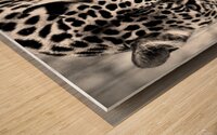 Showdown Wood print