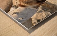 Naptime Wood print