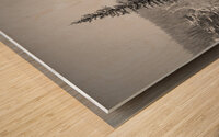 Lone Snowy Pine Wood print