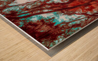 Enchanted Southern Grove: Bulow in Infrared Wood print
