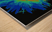 Neon Heatwave Chrysanthemum Wood print