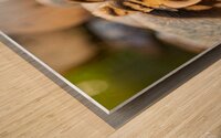 Ducklings Huddling Together Wood print