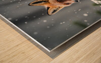 Red Fox hiding in the snow Wood print