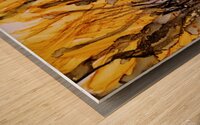 Goldenrod Giggles Wood print