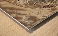 Coki Wood print