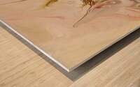 Veiled Visions Wood print