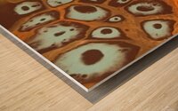 Under the Scope Wood print