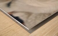 PuppyTail Wood print