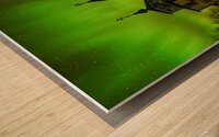 Orthodox Church Aurora Wood print