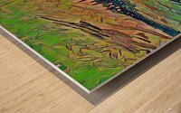 Van Gogh   De aflader in Arles 6 Wood print